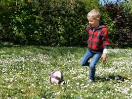 louis